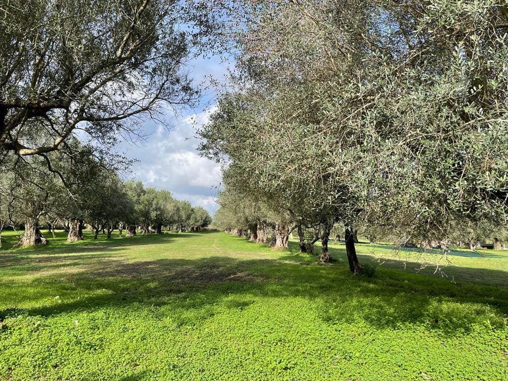 IN VENDITA TERRENO AGRICOLO!!
